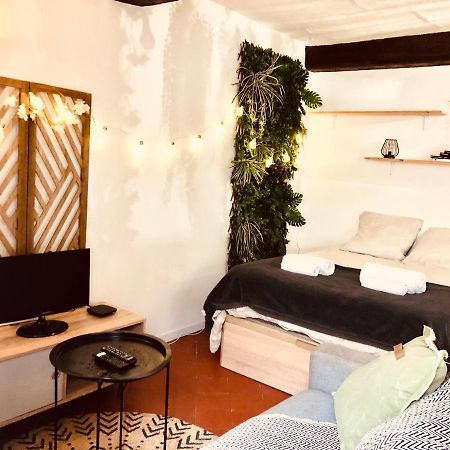Apartmán Jungle Hyper Centre Nîmes Exteriér fotografie