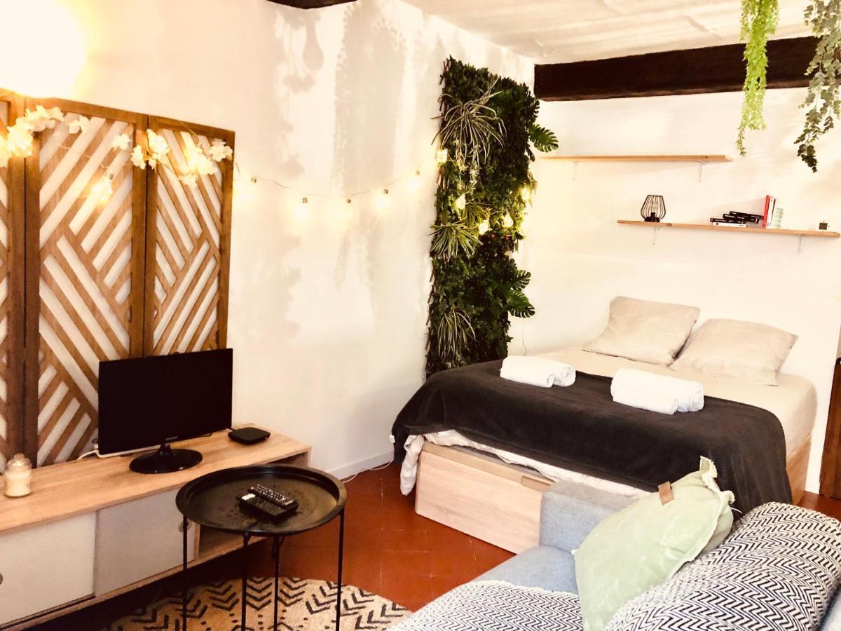 Apartmán Jungle Hyper Centre Nîmes Exteriér fotografie