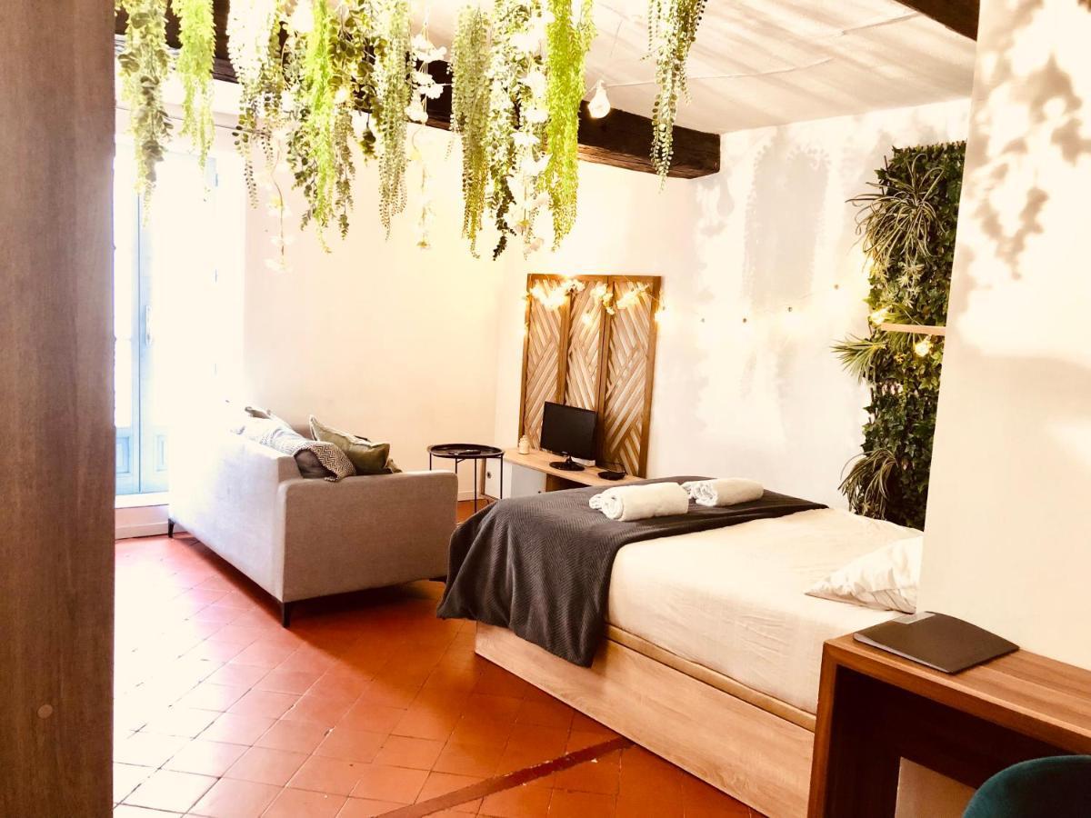 Apartmán Jungle Hyper Centre Nîmes Exteriér fotografie